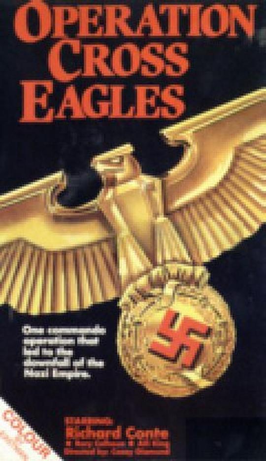 十字鷹行動(dòng)