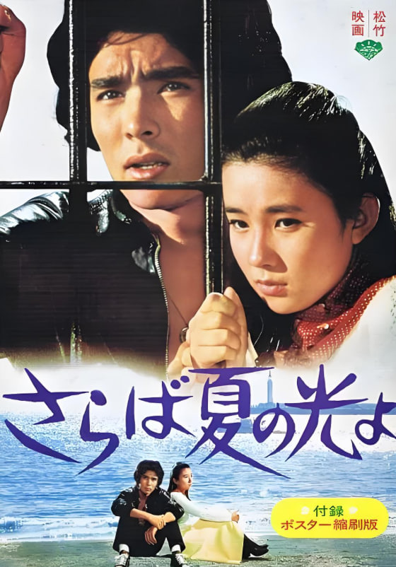 再見，夏日之光