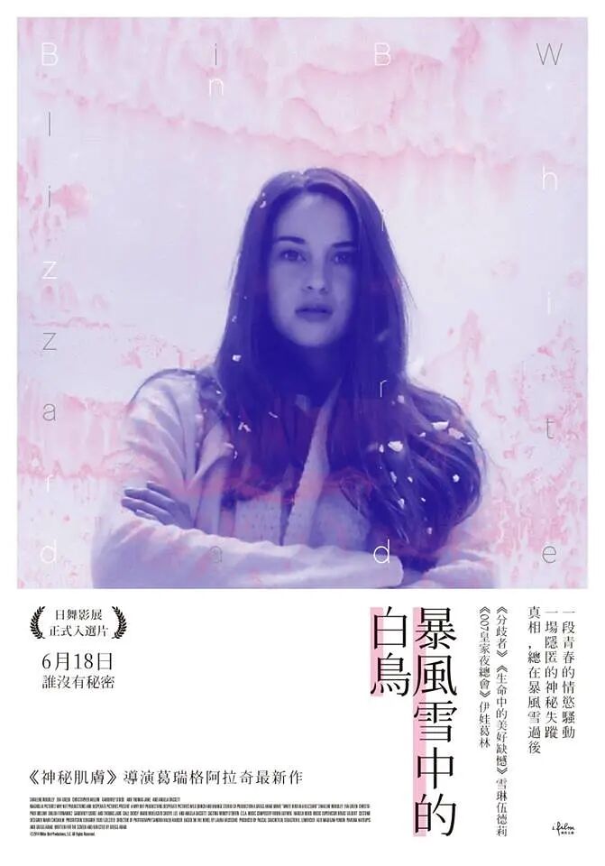 暴風(fēng)雪中的白鳥(niǎo)
