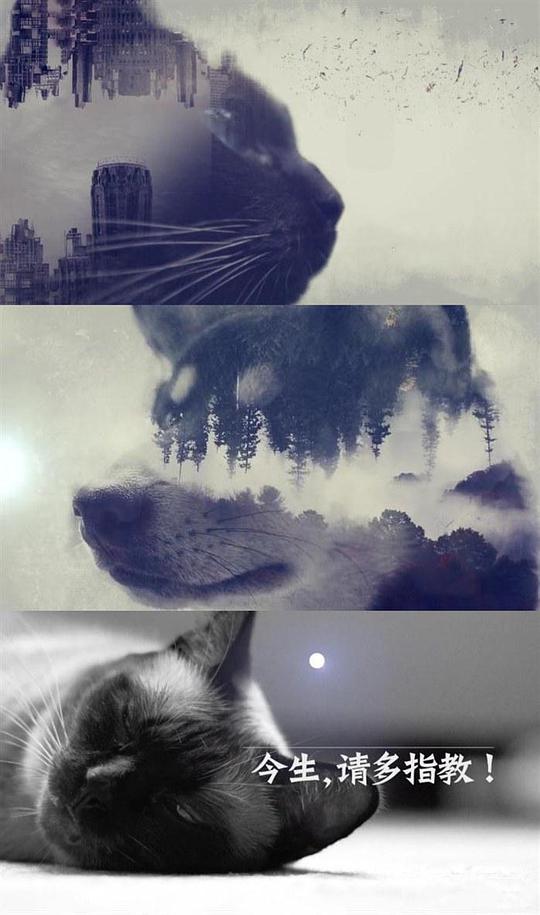 今生，請(qǐng)多指教第二季(全集)