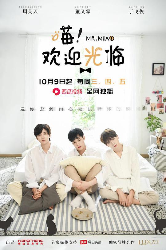 喵！歡迎光臨(全集)