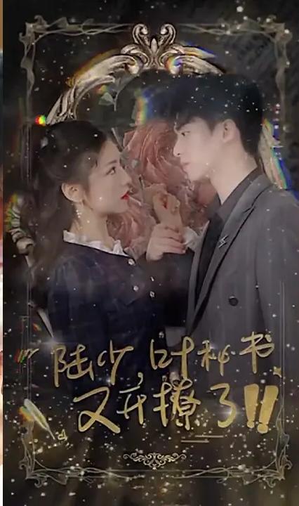 陸少，葉秘書又開撩了！(全集)