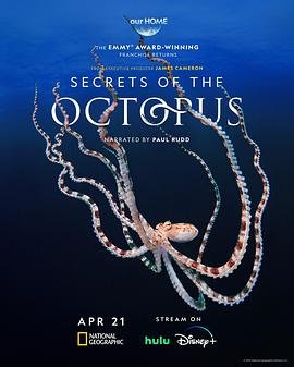 章魚(yú)的秘密(全集)