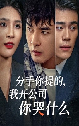分手你提的，我開(kāi)公司你哭什么(全集)