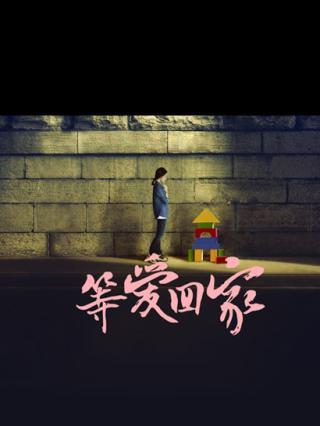 等愛回家(全集)