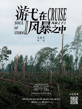 游弋在風暴之中