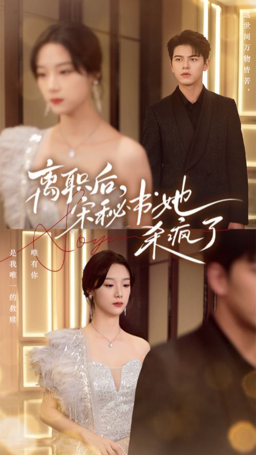 離職后，宋秘書她殺瘋了(全集)