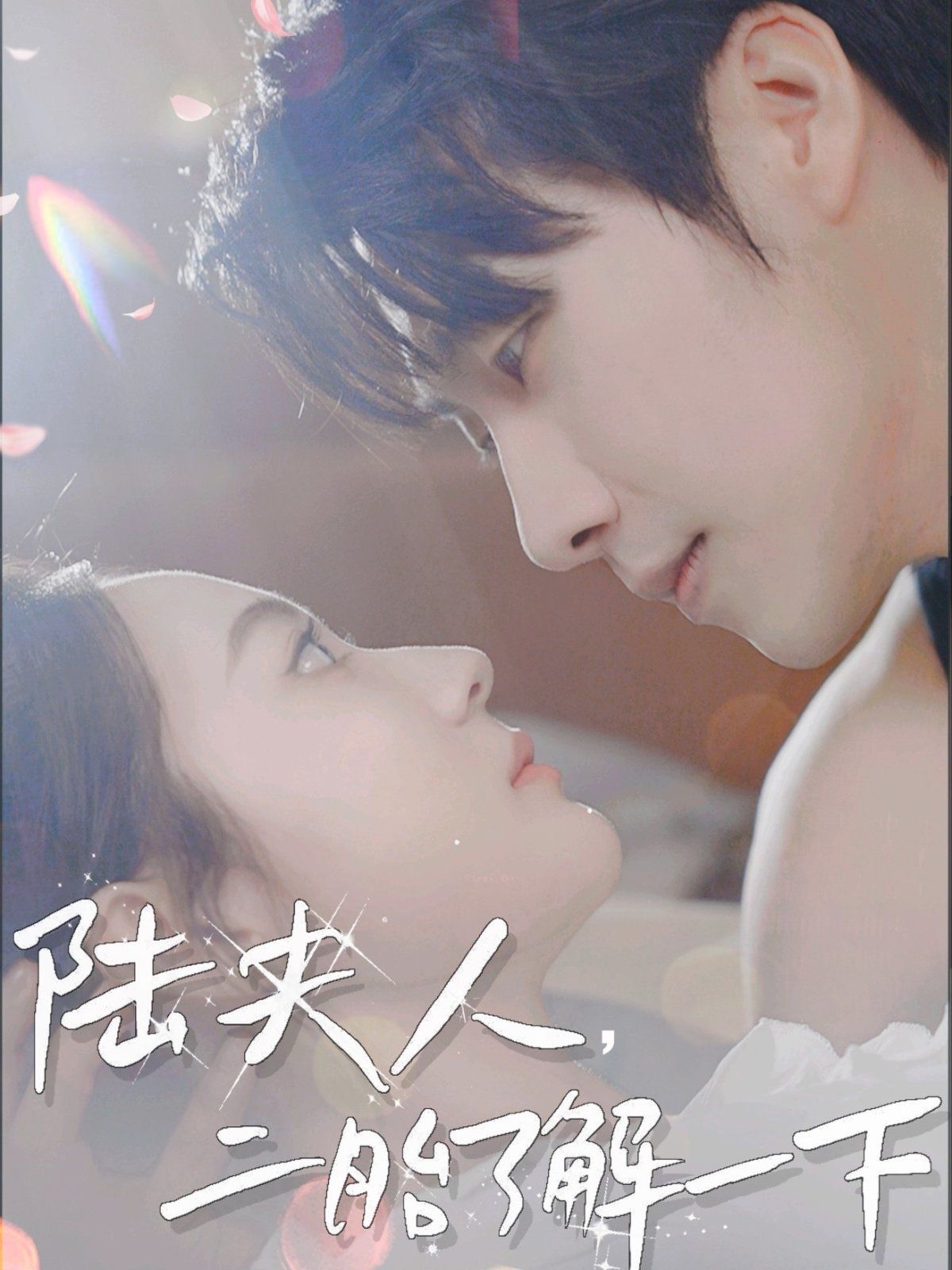 陸夫人，二胎了解一下(全集)