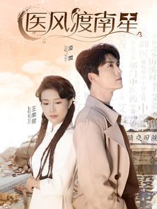 醫(yī)風(fēng)渡南星(全集)