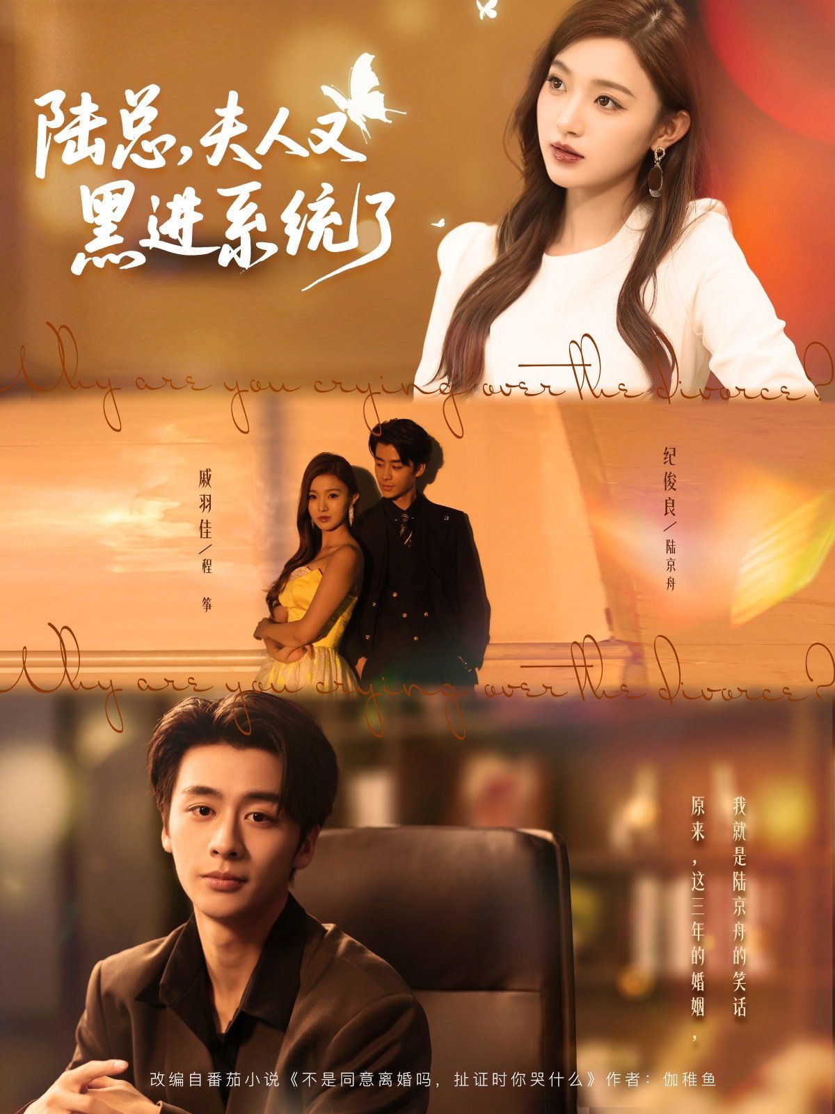 陸總夫人又黑進(jìn)系統(tǒng)了(全集)